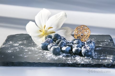 Heidelbeer Impression