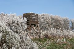 Foto 129-DSC_0652-1.jpg