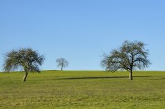 Foto 131-DSC_9042-gr.jpg