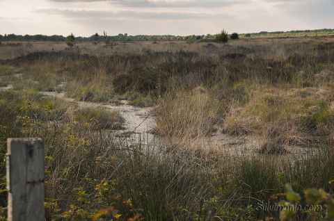 Es macht Spaß, ständig eine interessante Stelle zu erblicken