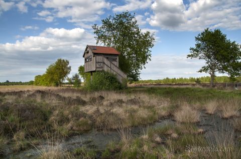 Schnepfenturm im Recker Moor