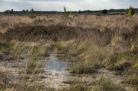 In dem ständigen Braun immer wieder blauer Himmel, der sich im Wasser spiegelt
