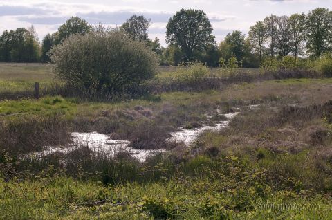 Ein etwas bedeckter Tag