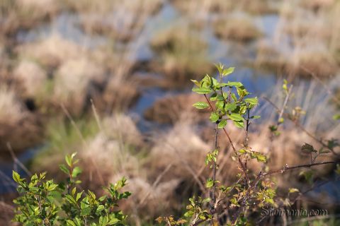 Blauer Himmel, der sich im Wasser spiegelt