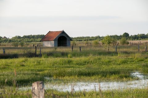 Blick übers Recker Moor