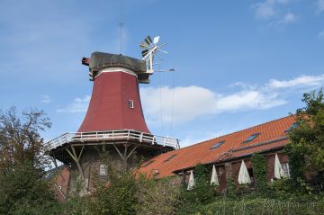 Die Rote leider ohne Flügel