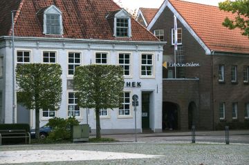 Interessanter Baumschnitt